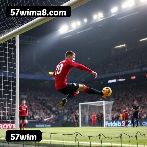 Níveis do programa VIP da 57wim